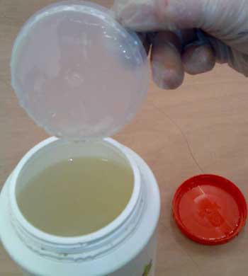 Boron Gel is clear and odour free