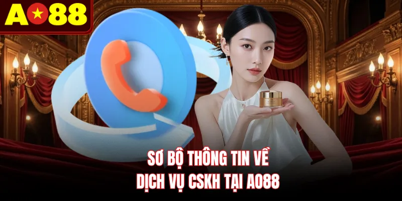 Sơ bộ thông tin về dịch vụ CSKH tại AO88