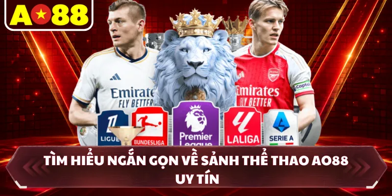 Tìm hiểu ngắn gọn về sảnh thể thao AO88 uy tín